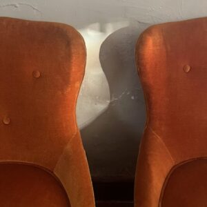 Alternative view of Les délicates