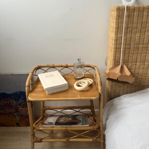 Alternative view of Le timide