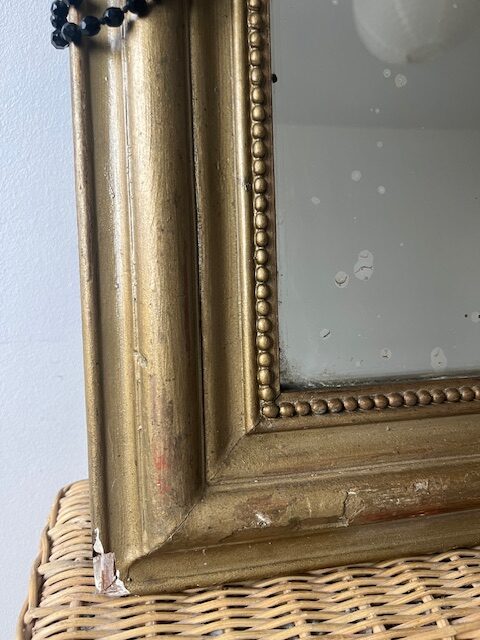 Mr Goldy – Image 4