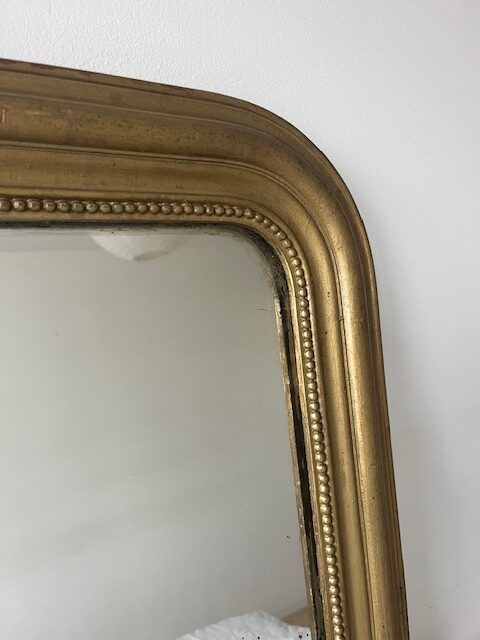 Mr Goldy – Image 5