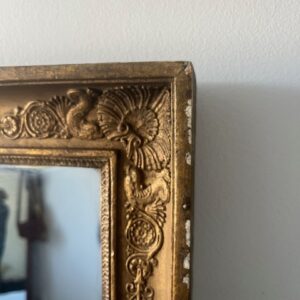 Alternative view of Mr Goldy