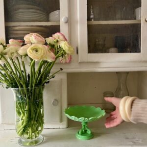 Encore une chouchoute