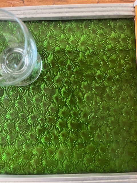 le green – Image 6