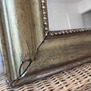 Alternative view of Mr Goldy