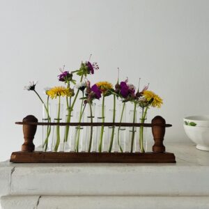 Comme dans les champs