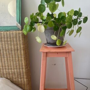 Alternative view of Miss Sellette