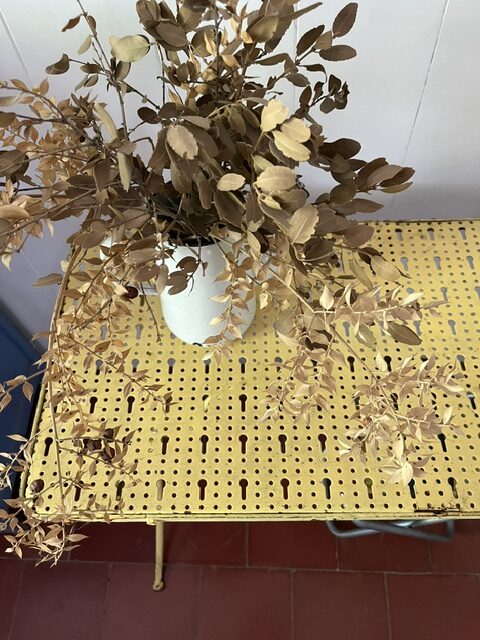 La yellow – Image 6