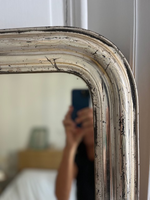 Mister Goldy – Image 4