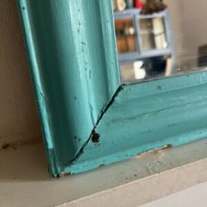 Le turquoise – Image 3
