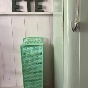 Alternative view of L'extra mint