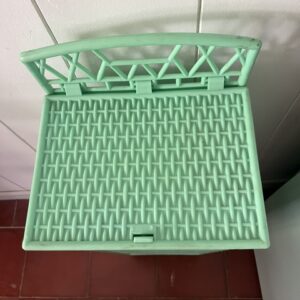 L'extra mint – Image 4
