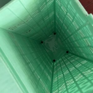 L'extra mint – Image 5