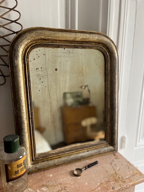 Le petit frère Goldy – Image 2