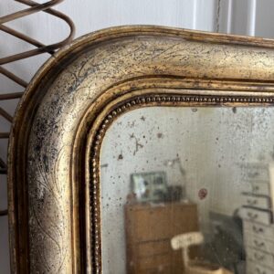Le petit frère Goldy – Image 3