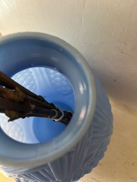 Blue – Image 5