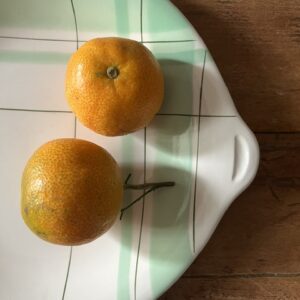 Alternative view of Le joli